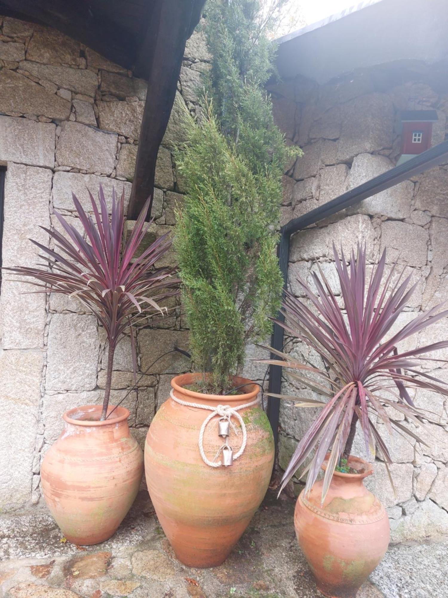 Quinta Do Caneiro Geres Exterior foto